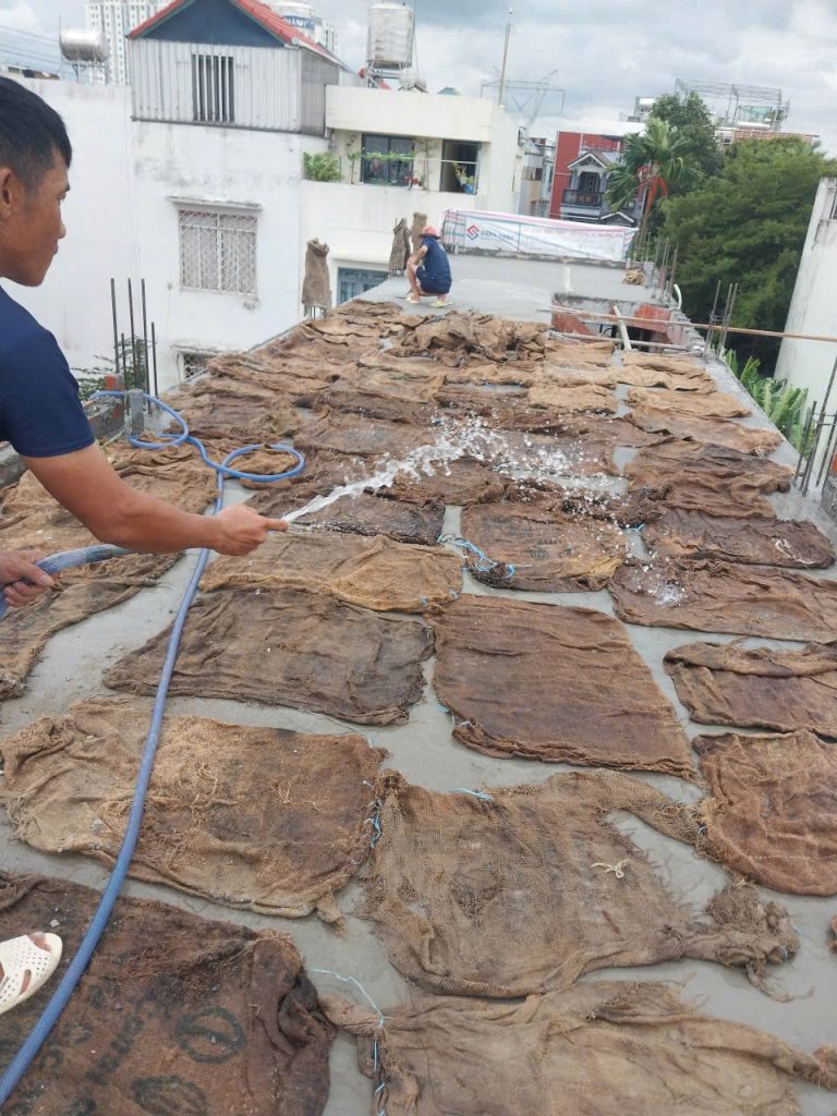 Công tác tưới nước bảo dường sàn bê tông sân thượng.